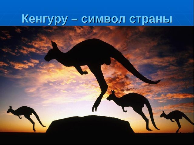 Презентация на тему "Путешествие по материкам"
