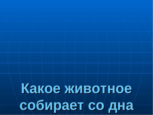 Презентация на тему "Путешествие по материкам"