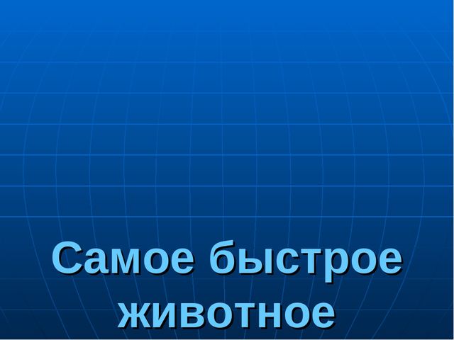 Презентация на тему "Путешествие по материкам"