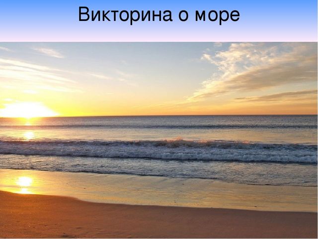Презентация "В поисках Красной книги"