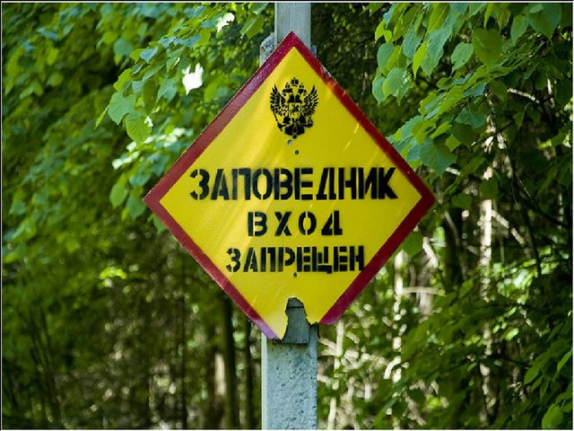 Презентация "В поисках Красной книги"