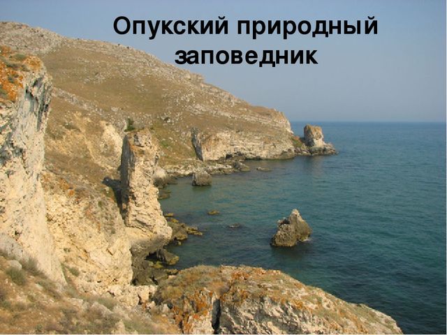 Презентация "В поисках Красной книги"
