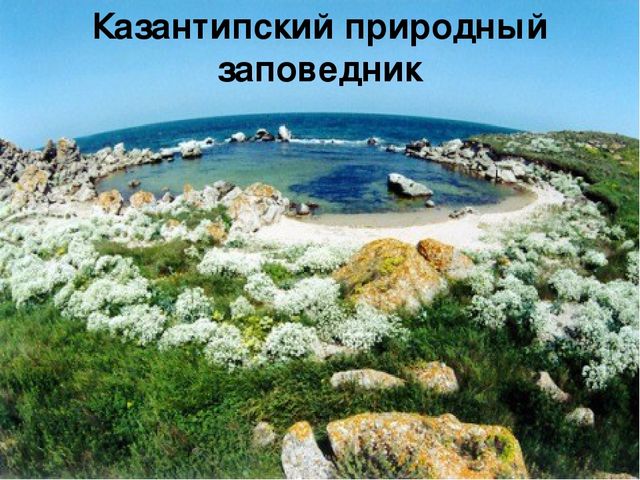 Презентация "В поисках Красной книги"