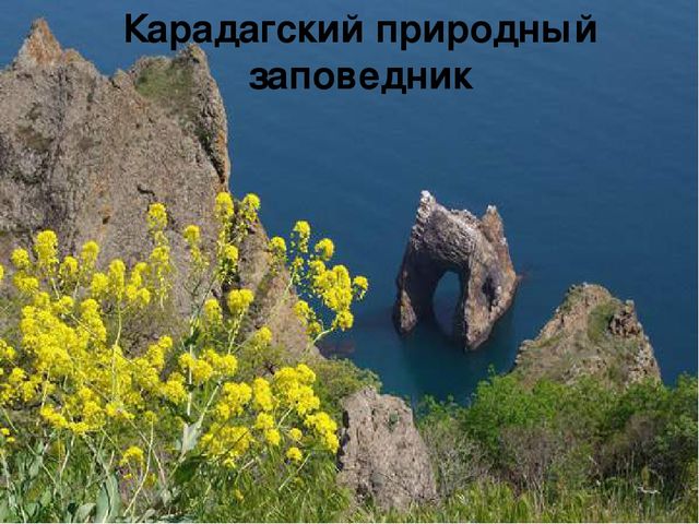 Презентация "В поисках Красной книги"