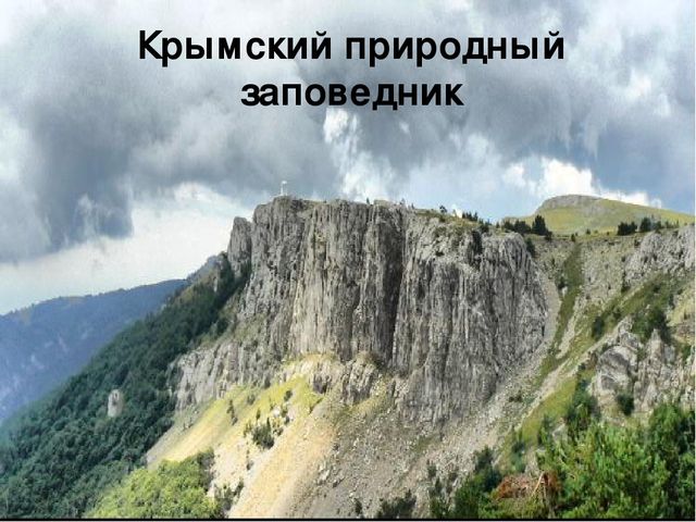 Презентация "В поисках Красной книги"