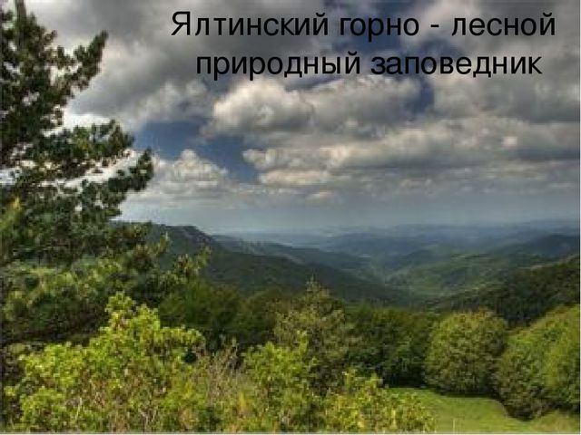Презентация "В поисках Красной книги"