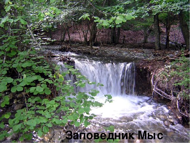 Презентация "В поисках Красной книги"
