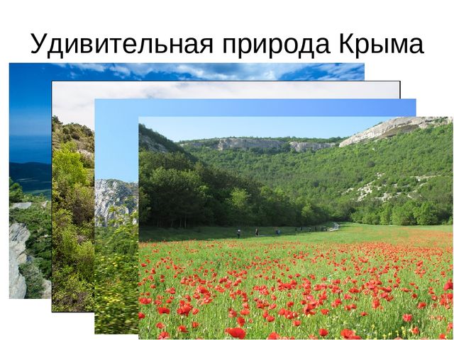Развлечение для старшей группы "Юный турист"