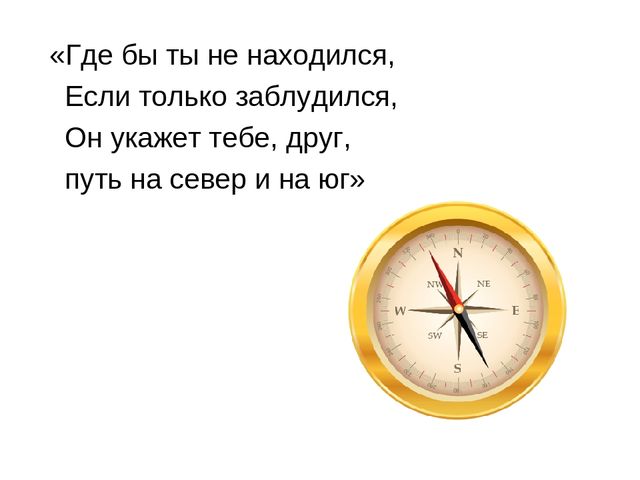 Развлечение для старшей группы "Юный турист"