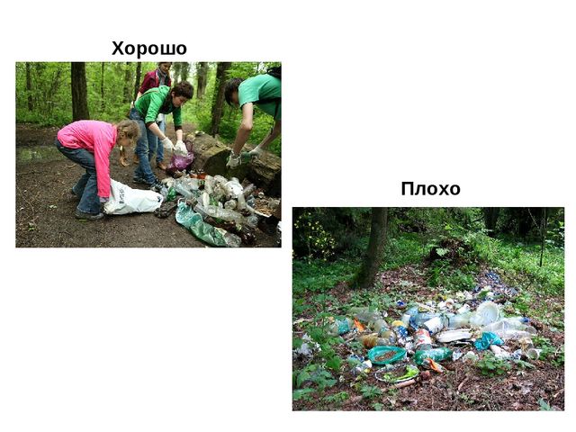 Развлечение для старшей группы "Юный турист"