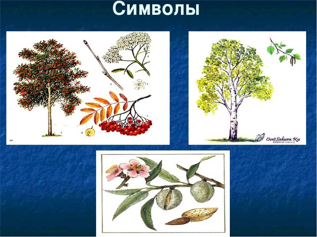 Презентация для детей "Культура народов Крыма"