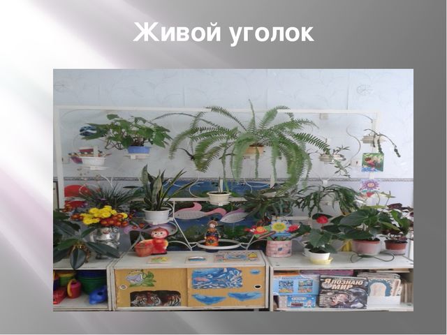 Авторская Презентация "Предметно-развивающая среда группы №8 в соответствии С ФГОС"
