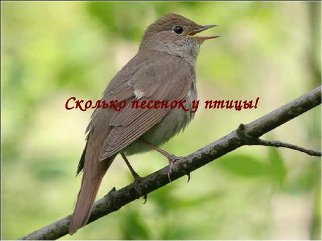 Презентация к совместному с родителями мероприятию, посвященному Дню Матери