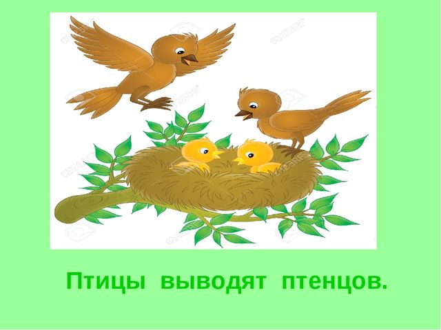 Презентация. Короткие рассказы для пересказа.«Весна».