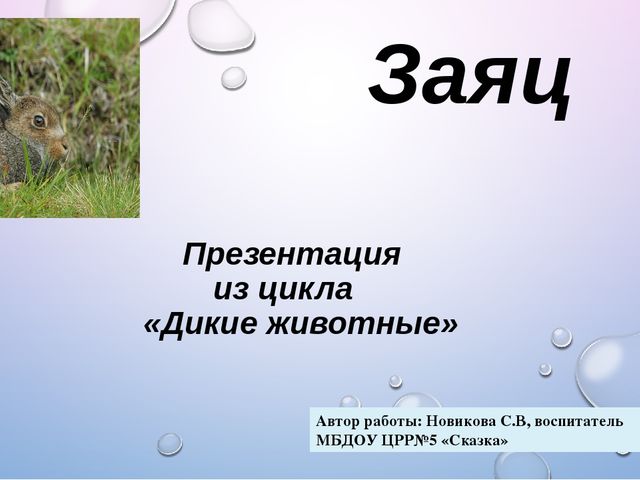 Презентация из цикла дикие животные