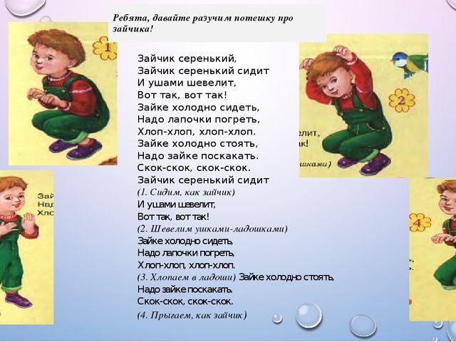 Презентация из цикла дикие животные