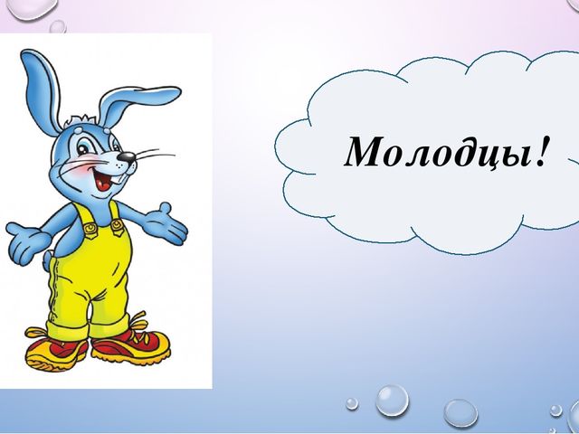 Презентация из цикла дикие животные