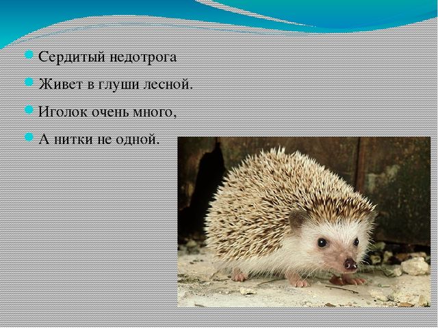 Презентация для детей младшего возраста "Дикие и домашние животные"
