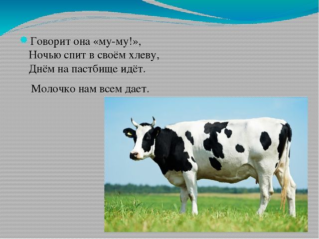Презентация для детей младшего возраста "Дикие и домашние животные"