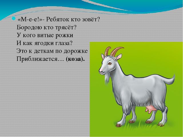 Презентация для детей младшего возраста "Дикие и домашние животные"
