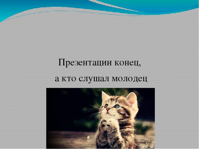 Презентация для детей младшего возраста "Дикие и домашние животные"