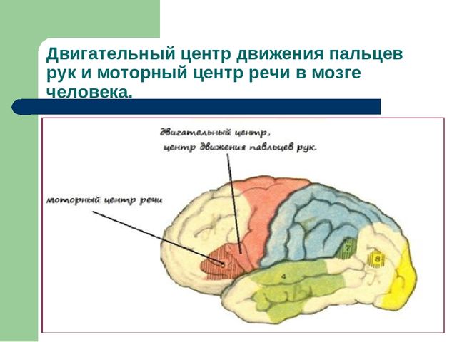 "Умные пальчики - умные детки"