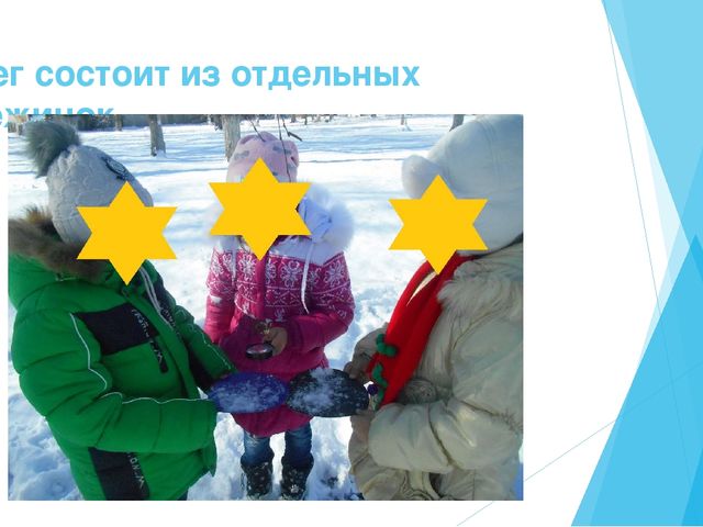 Презентация на тему "Экологические знания-первое представление о мире" старший возраст.