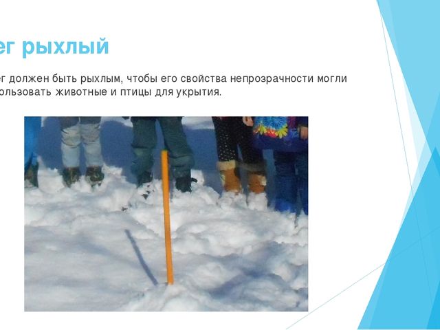 Презентация на тему "Экологические знания-первое представление о мире" старший возраст.