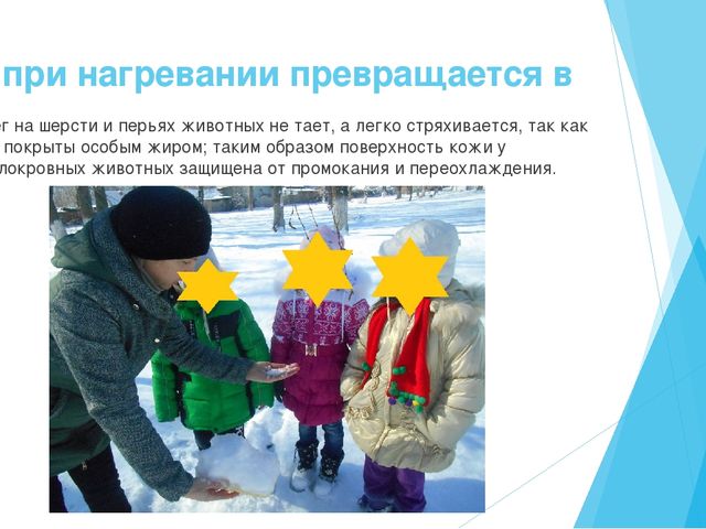 Презентация на тему "Экологические знания-первое представление о мире" старший возраст.