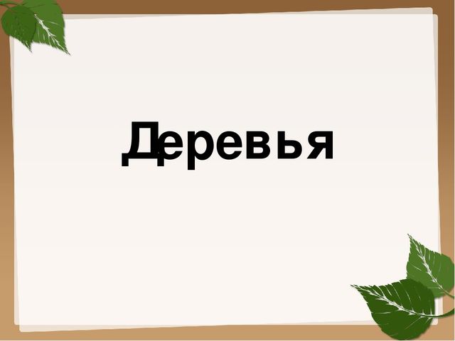 Презентация для старшей группы "Деревья"