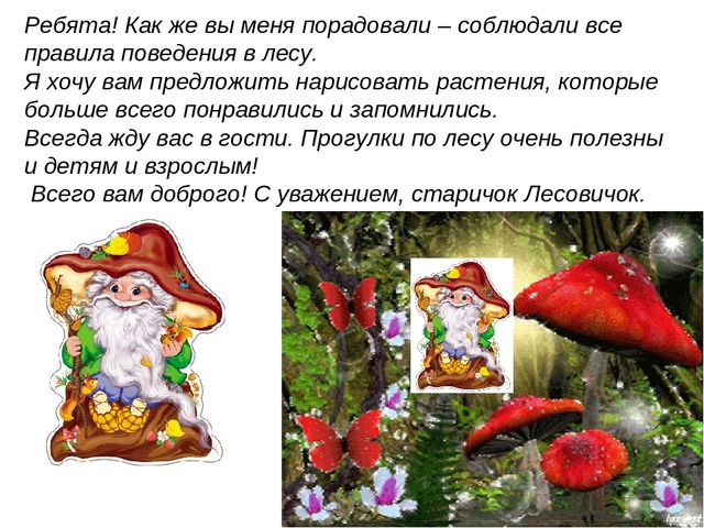 Презентация к НОД по познавательному развитию в старшей группе на тему: «Смешанный лес»