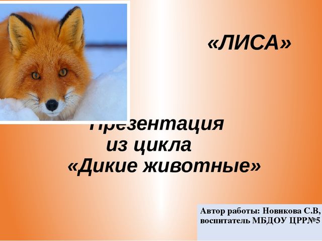 Презентация из цикла дикие животные
