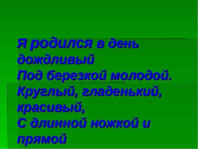 Презентация В лес за грибами