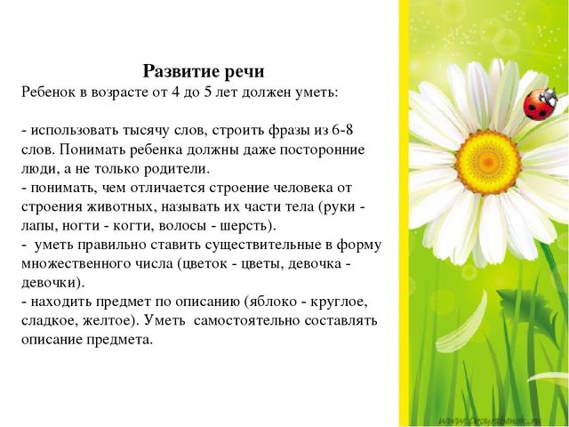 Презентация на тему "Возрастные особенности детей 4-5 лет"