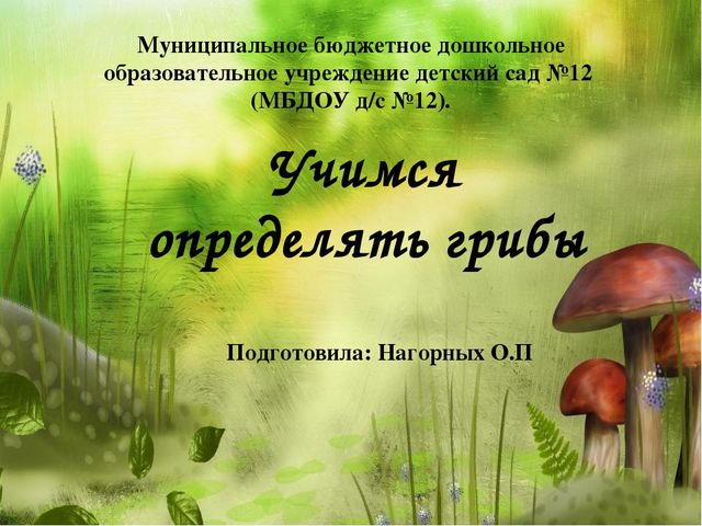 Презентация по окружающему миру. Загадки о грибах. Для детей старшего дошкольного возраста.