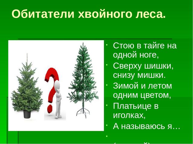 Презентация по экологическому воспитанию "Берегите елочку!"
