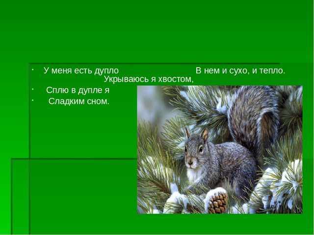 Презентация по экологическому воспитанию "Берегите елочку!"