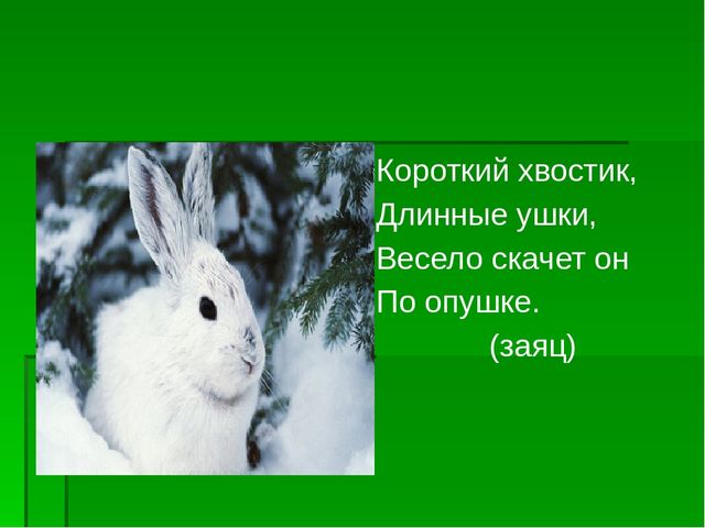 Презентация по экологическому воспитанию "Берегите елочку!"