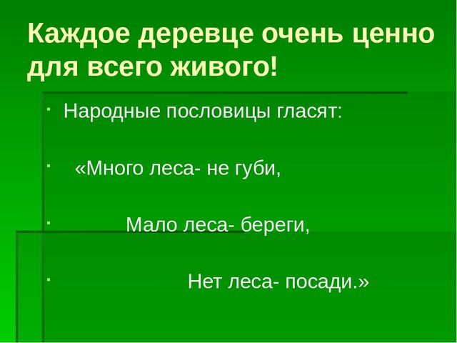 Презентация по экологическому воспитанию "Берегите елочку!"