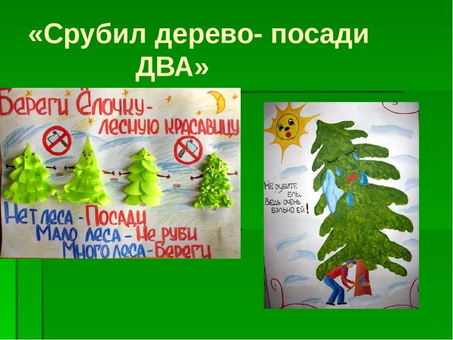 Презентация по экологическому воспитанию "Берегите елочку!"