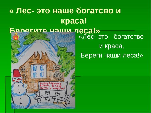 Презентация по экологическому воспитанию "Берегите елочку!"
