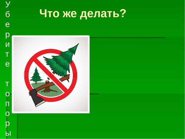 Презентация по экологическому воспитанию "Берегите елочку!"