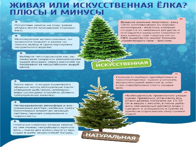 Презентация по экологическому воспитанию "Берегите елочку!"