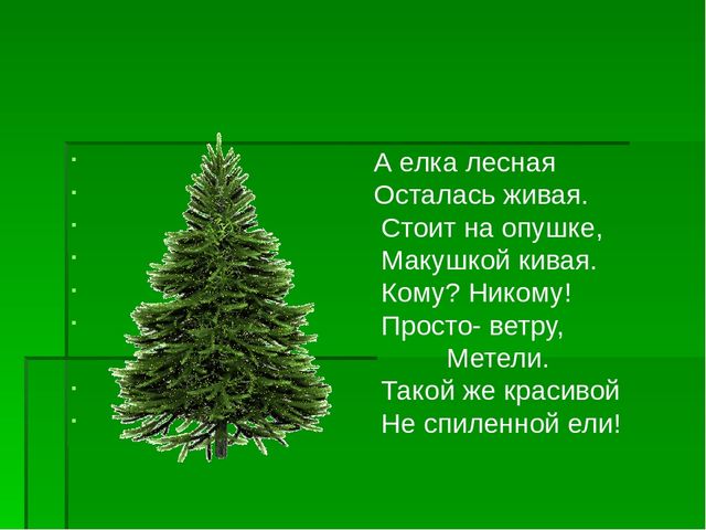 Презентация по экологическому воспитанию "Берегите елочку!"