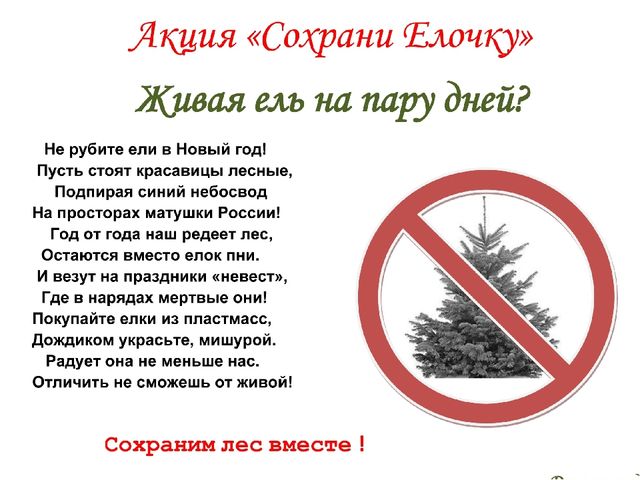 Презентация по экологическому воспитанию "Берегите елочку!"