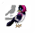 Picture 17