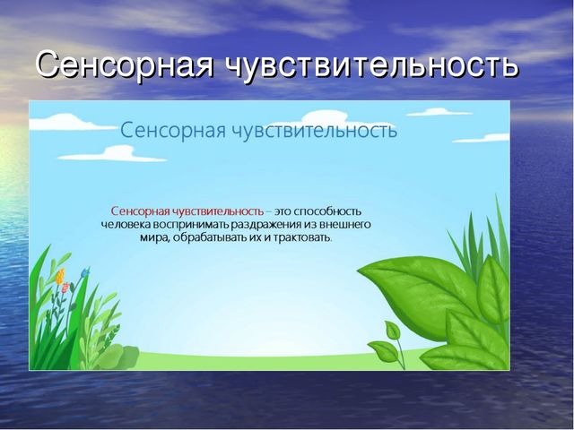 Презентация на тему:"Сенсорное воспитание дошкольников"