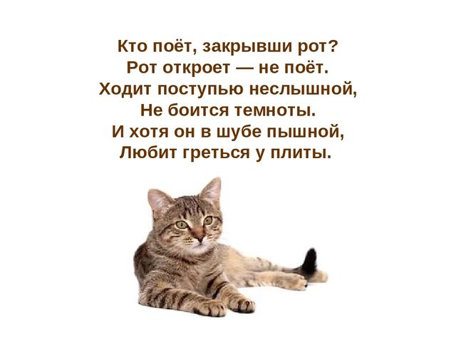 Презентация по развитию речи "Домашние животные"