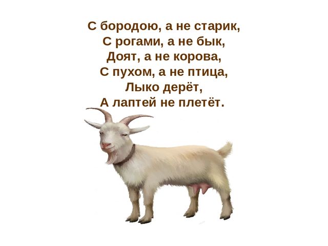 Презентация по развитию речи "Домашние животные"
