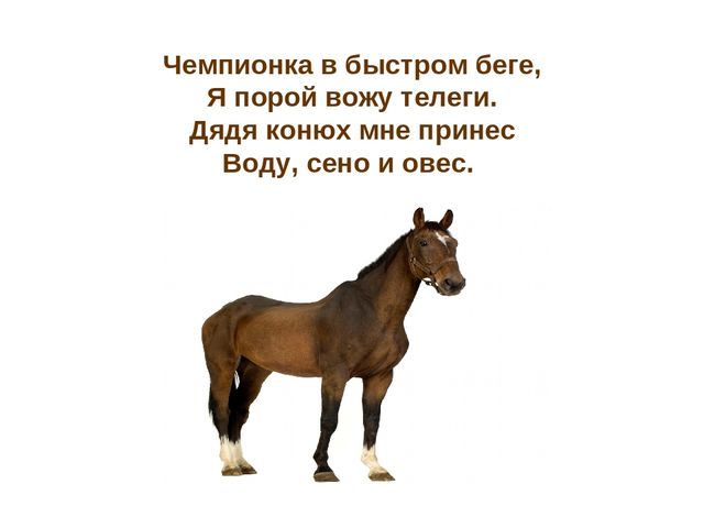 Презентация по развитию речи "Домашние животные"